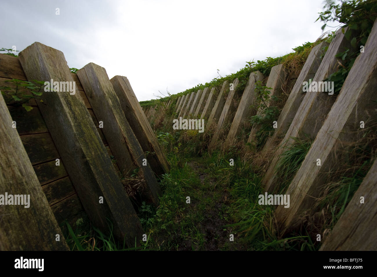 Einen schlammigen Graben des 2. Weltkrieges Stockfoto