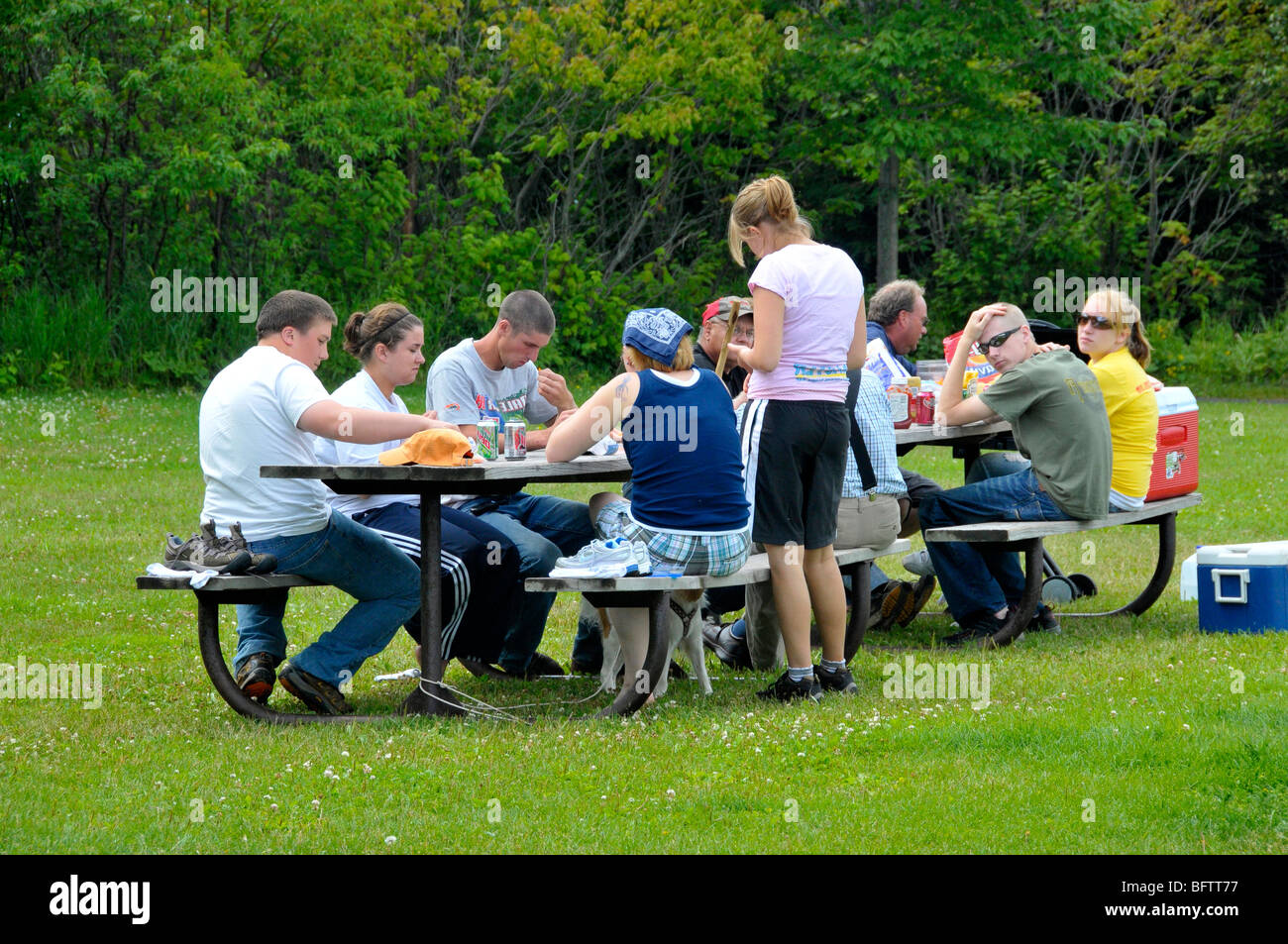 Junge Menschen gemeinsam Mittagessen im park Stockfoto