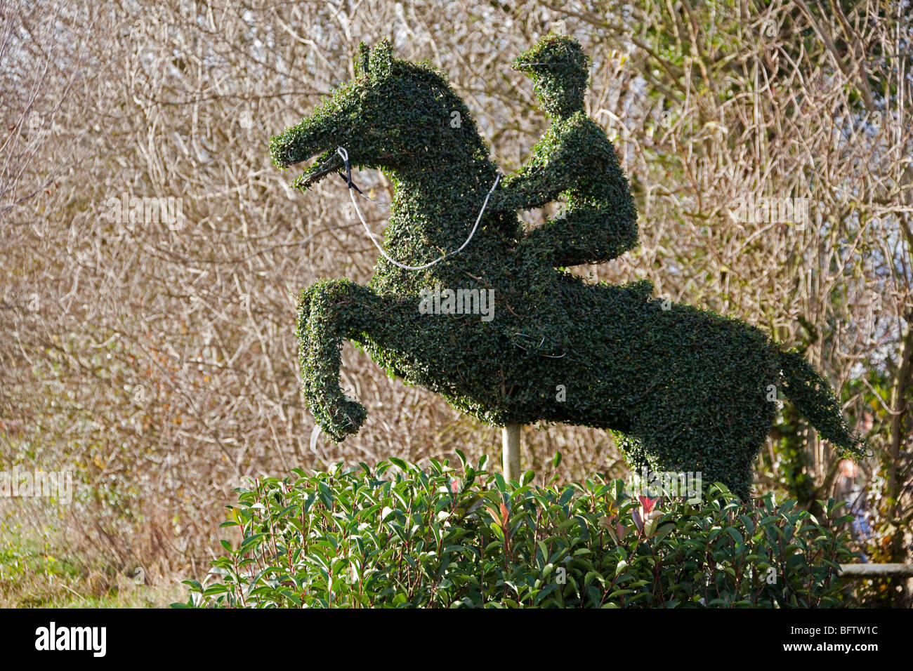 Dekorative Skulptur Strauch. Liguster Hecke Pferd und Jockey design 099587  Welford Horizontal Stockfotografie - Alamy