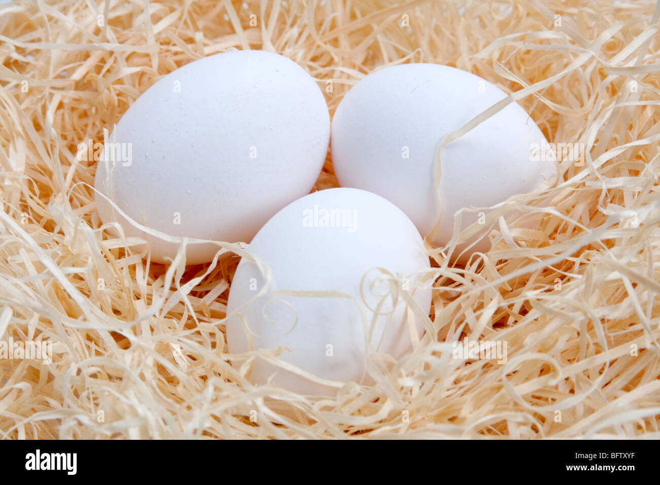 drei Eiern auf Heu Stockfoto