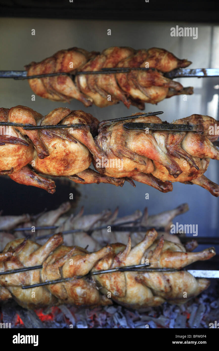 Spieß Hühner, Tirana, Albanien Stockfoto