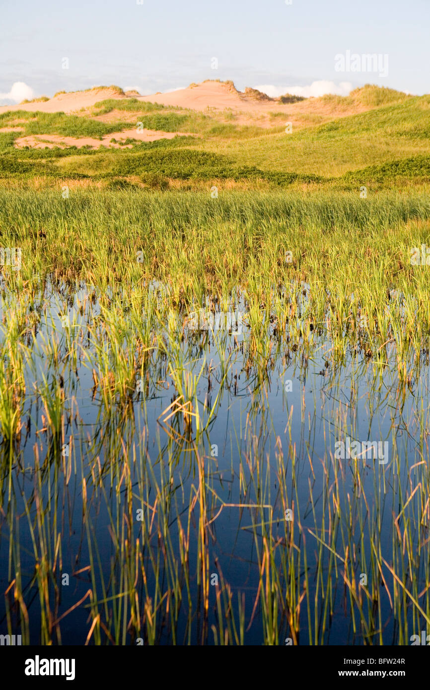 Die Greenwich-Sanddünen in Prince Edward Island National Park Stockfoto