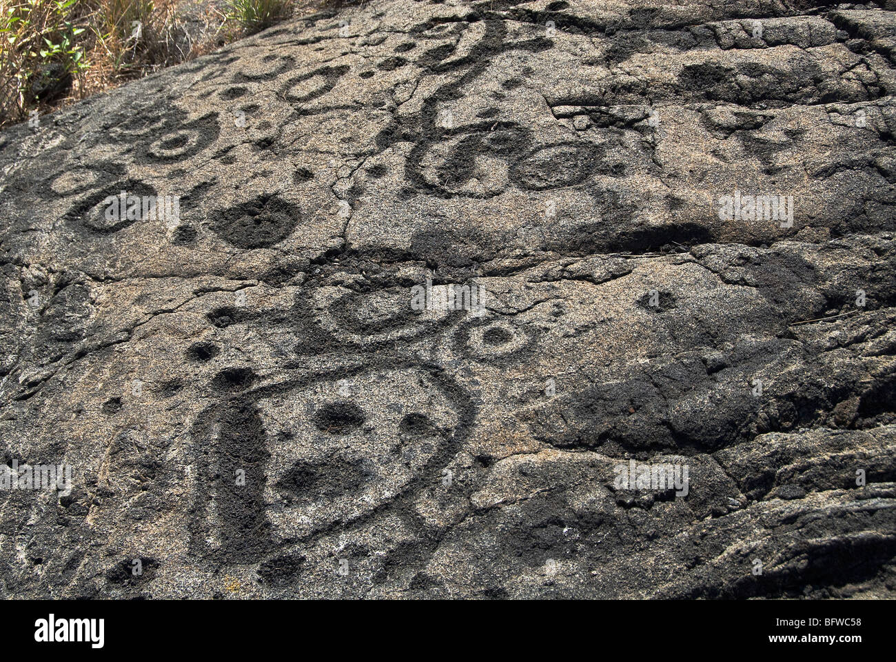 Petroglyphen an Mauna Loa Petroglyphs Hawaii Volcanoes Nationalpark Hawaii USA Stockfoto