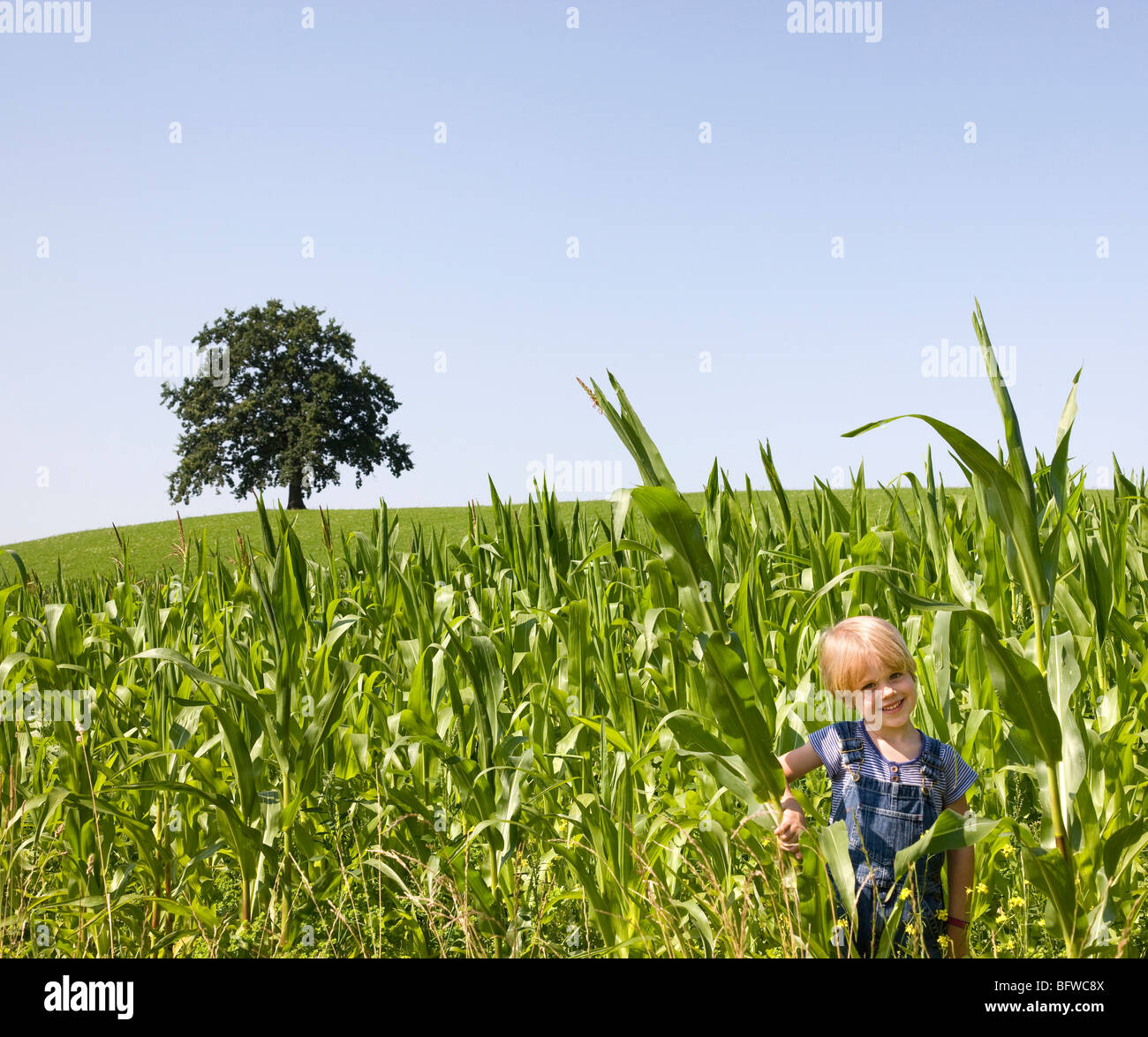 Nackt im maisfeld