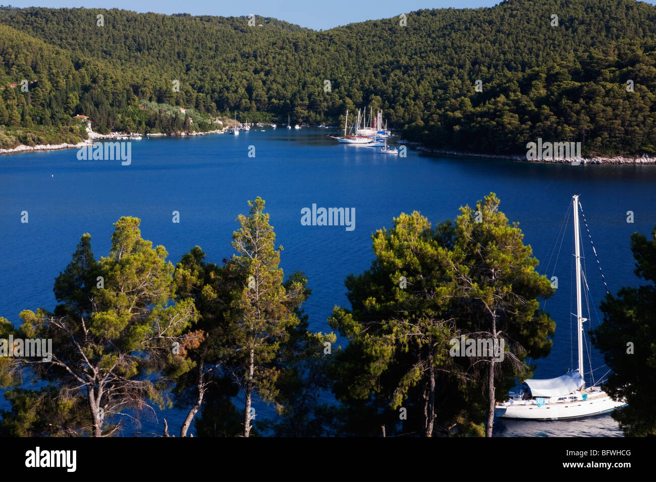 Yachten in Panormos Bay Skopelos Insel der Sporaden Griechenland Stockfoto