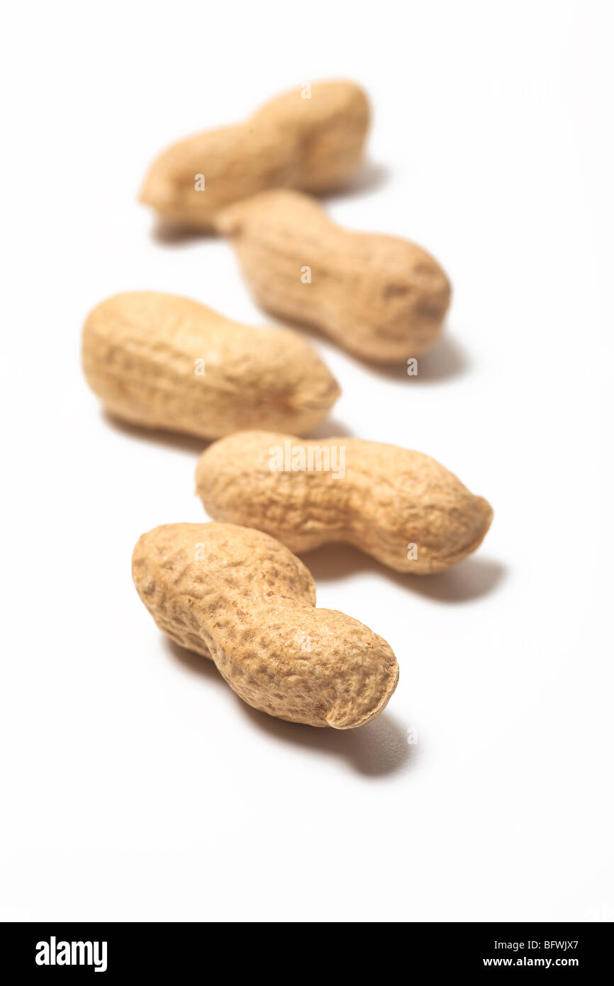 die Erdnüsse auf weißem Hintergrund Stockfoto
