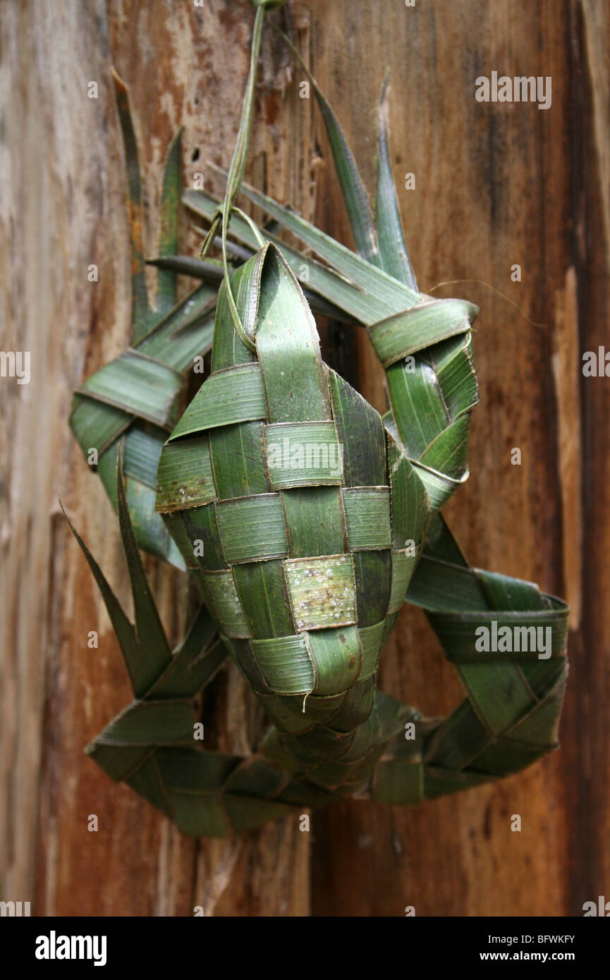 Frosch aus geflochtenen Palmwedeln Kokosnuss gemacht. Genommen auf einem Spice Farm, Bububu, Sansibar Stockfoto