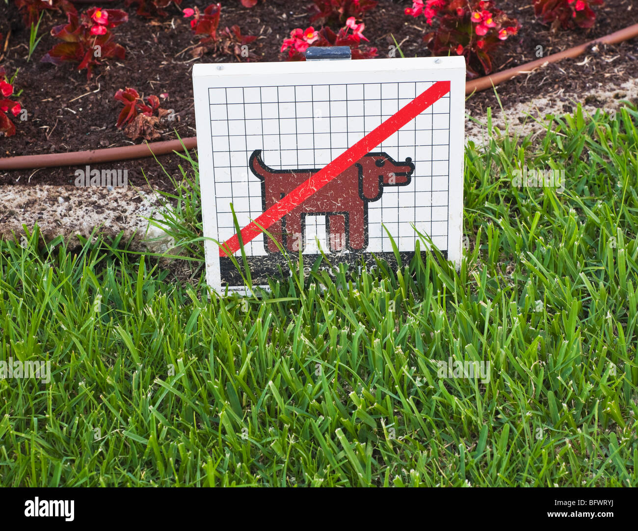 Schild Hunde zu verbieten, einen öffentlichen Garten Raum zu betreten. Stockfoto