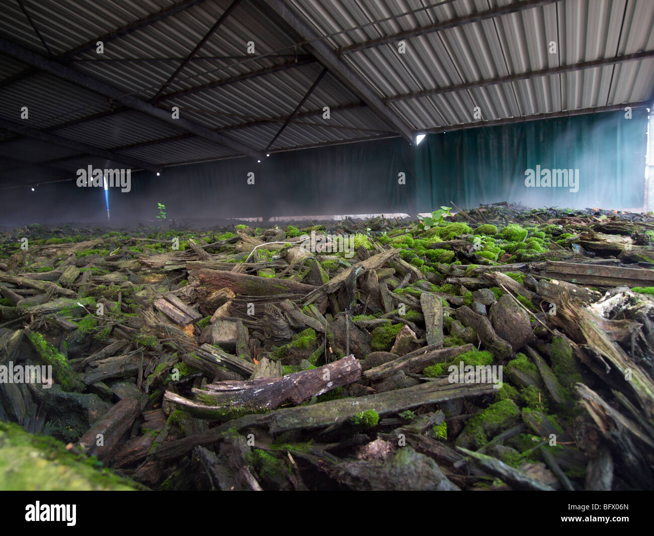 Biofilter zur Kompostierungsanlage, Maastricht, Niederlande. Bakterien und Pilze entfernen das Ammoniak aus der Luft Fabrik jetzt riecht wie ein Wald. Stockfoto