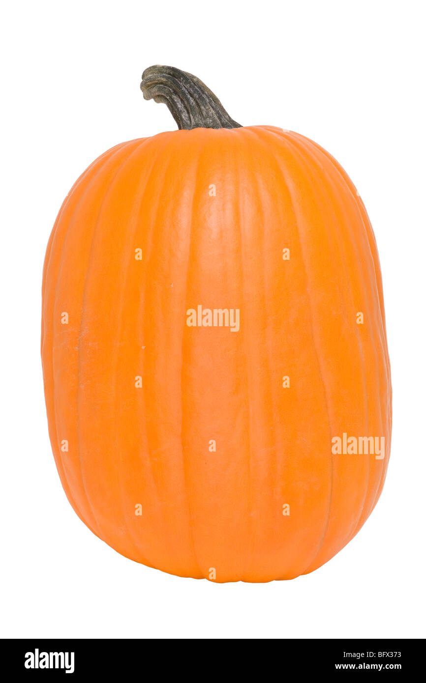 ovale orange Kürbis Stockfoto