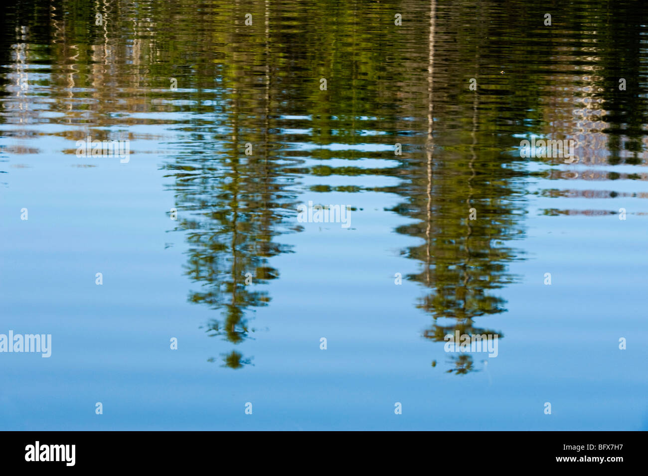 Fichte-Reflexionen in Biber Teich, Greater Sudbury, Ontario, Kanada Stockfoto