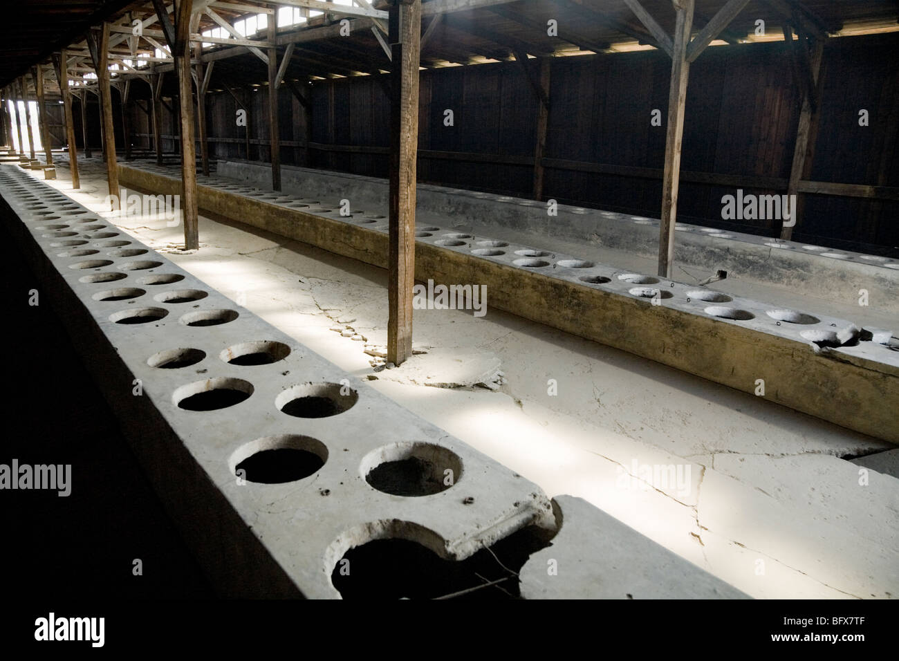 Toiletten in einer Latrine Hütte / Schuppen von Birkenau (Auschwitz II - Birkenau) Nazi-Vernichtungslager in Oswiecim, Polen. Stockfoto