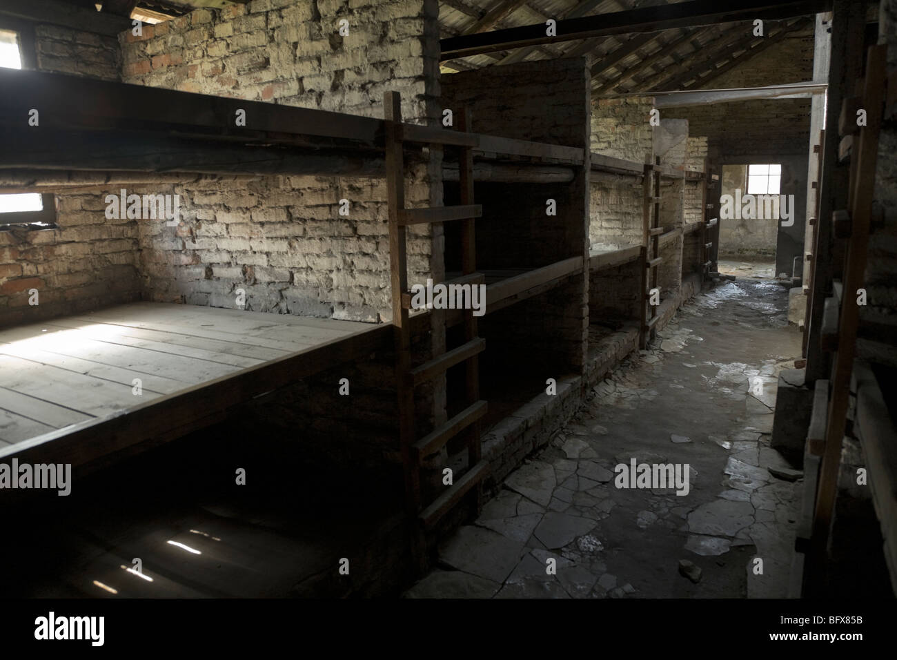 Kojen für Häftlinge in einer Hütte (Nummer 9) / Schuppen von Birkenau (Auschwitz II - Birkenau) Nazi-Vernichtungslager in Oswiecim, Polen. Stockfoto