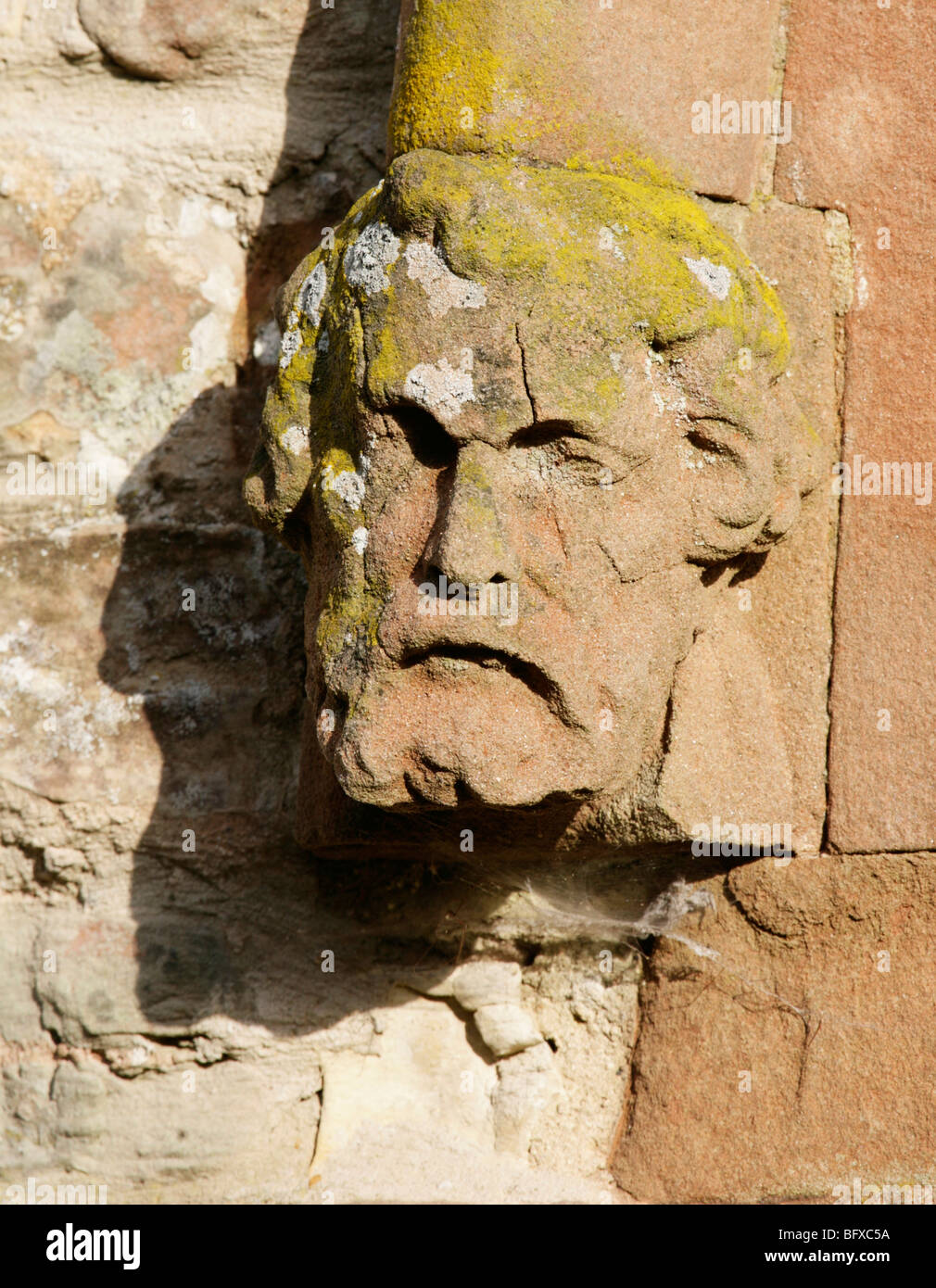 15. Jahrhundert Kirchenfenster Schimmel Kopf Stop in Form einer Steinskulptur Darstellung ein Männerkopf. Stockfoto