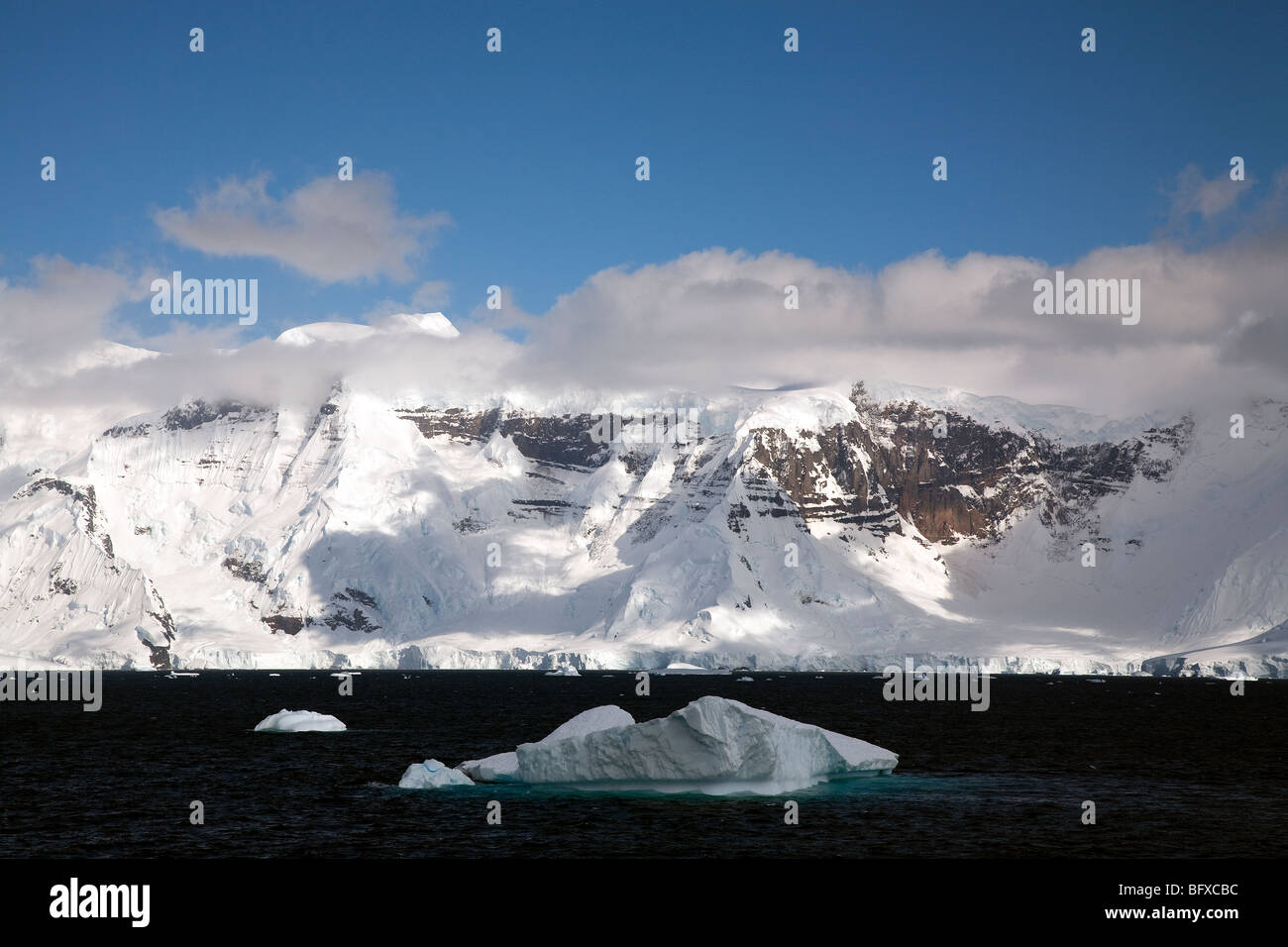 Eisberg, schwebend in Paradise Bay, antarktische Halbinsel Stockfoto