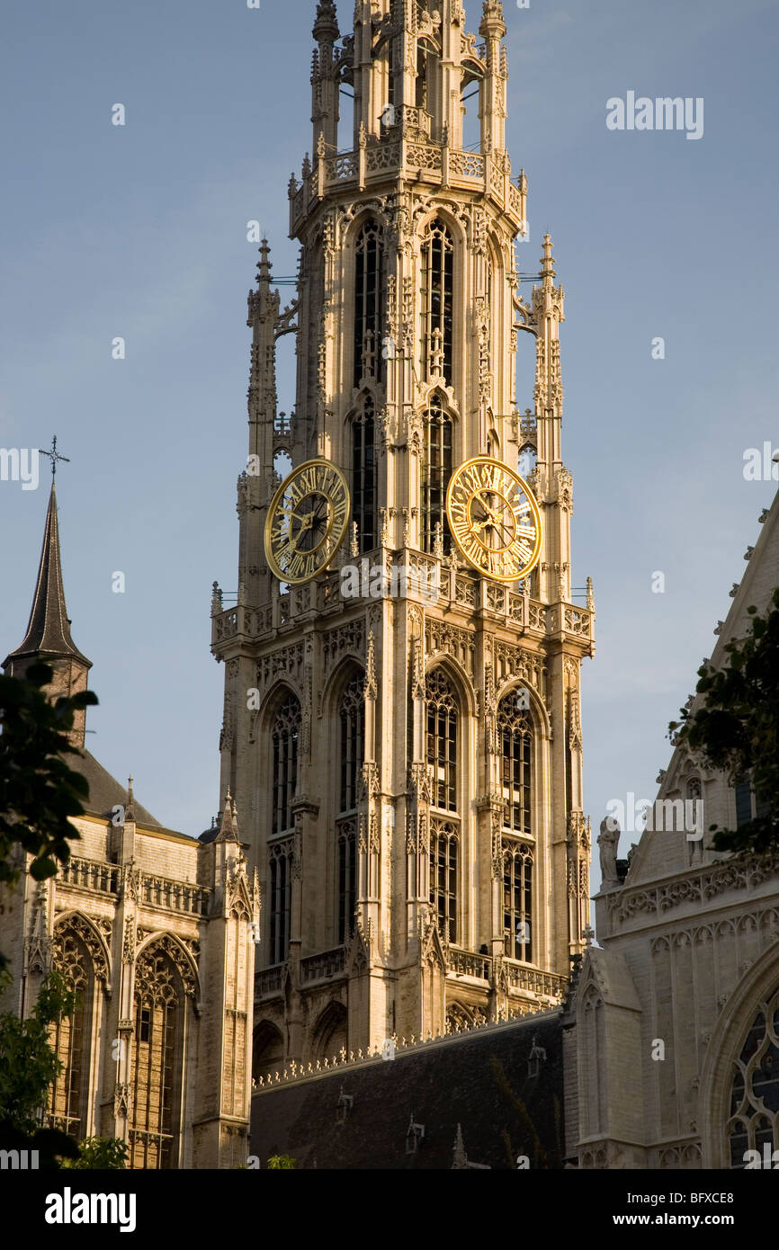 Turm der Onze-Lieve-Vrouwekathedraal - Kathedrale unserer lieben Frau, Antwerpen; Belgien; Europa Stockfoto