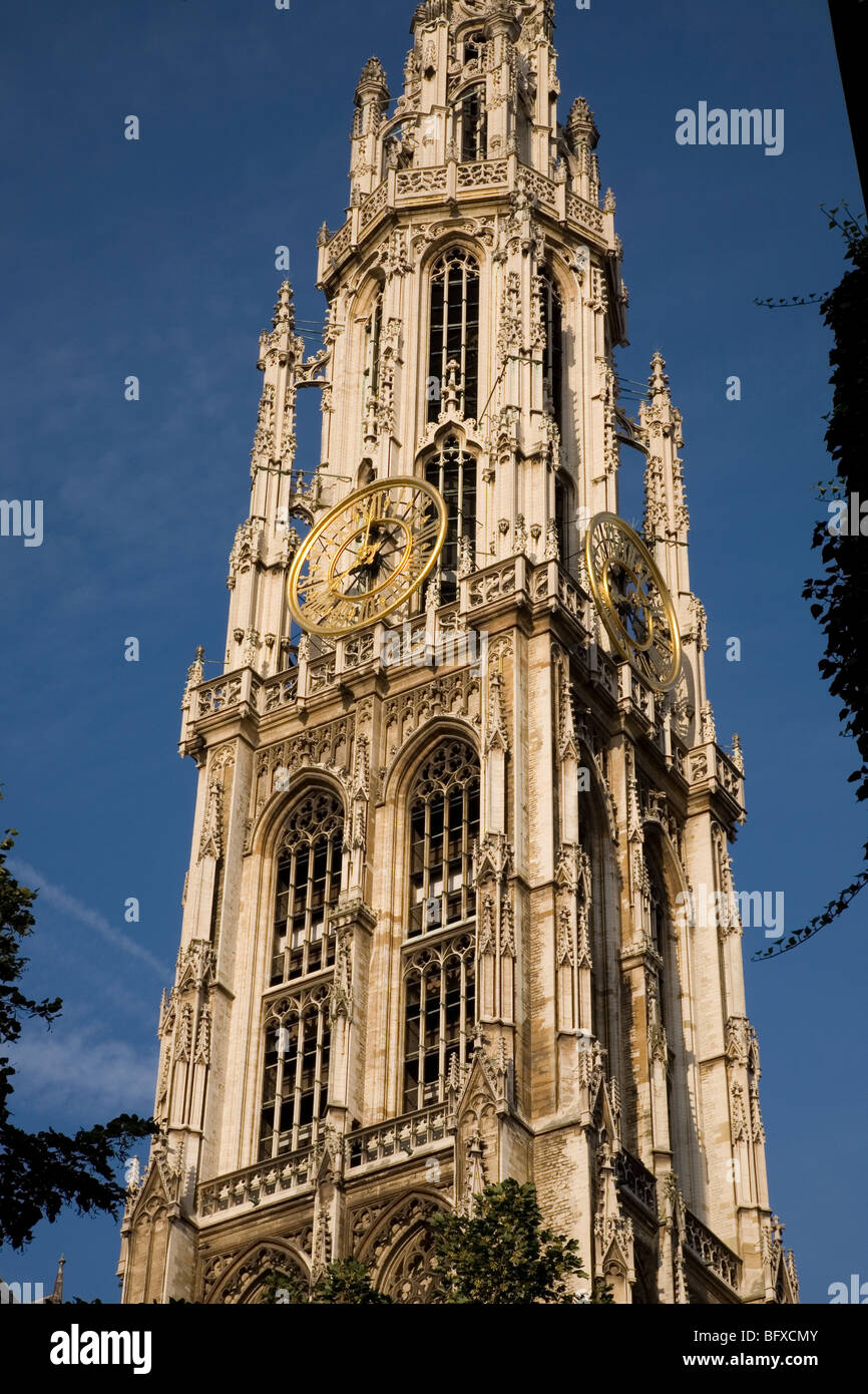 Turm der Onze-Lieve-Vrouwekathedraal - Kathedrale unserer lieben Frau, Antwerpen, Belgien, Europa Stockfoto