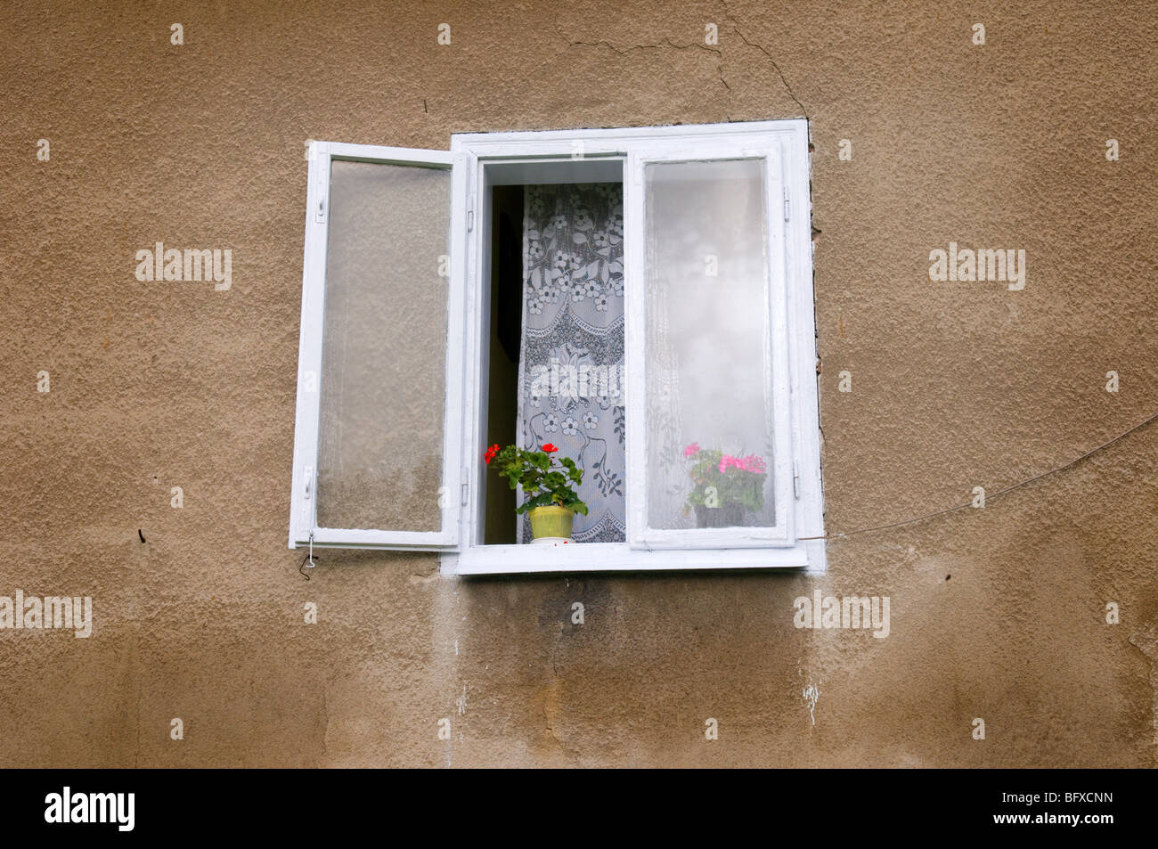 Fenster mit Geranien und Gardinen, Bartkowa, Polen Stockfoto, Bild ... Fenster mit Geranien und Gardinen, Bartkowa, Polen Stockfoto, Bild ...