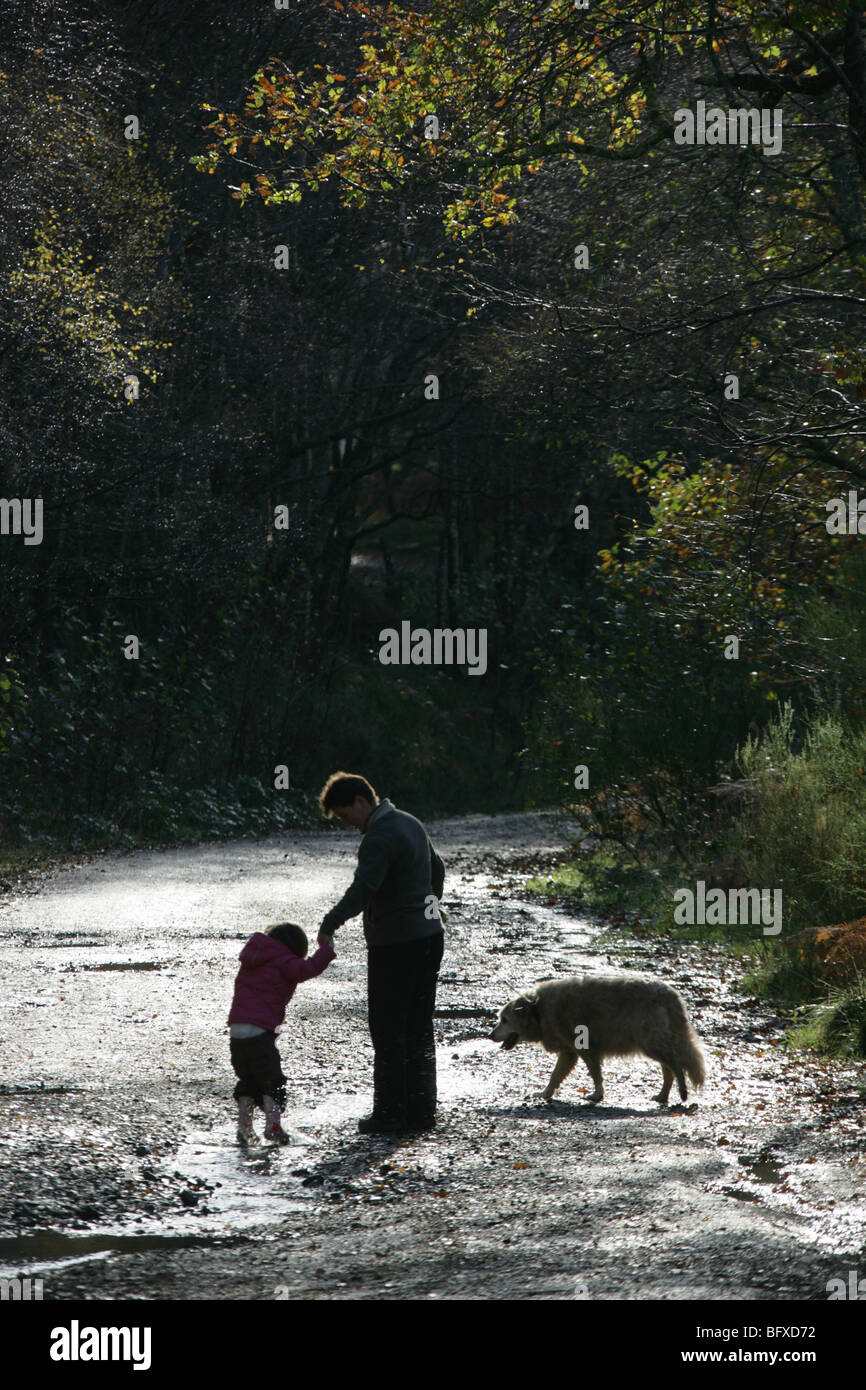 Silhouette Blick einer Mutter, Tochter und Hund auf einem Waldspaziergang mit dem jungen Mädchen in einer Pfütze springen. Stockfoto