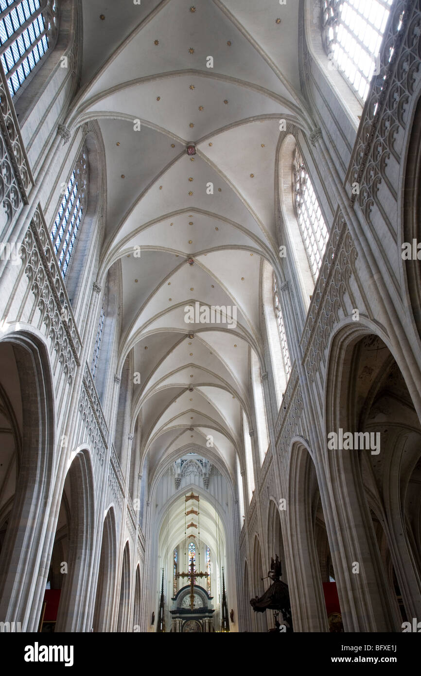 Onze-Lieve-Vrouwekathedraal - Kathedrale-Kirche unserer lieben Frau; Antwerpen; Belgien; Europa Stockfoto