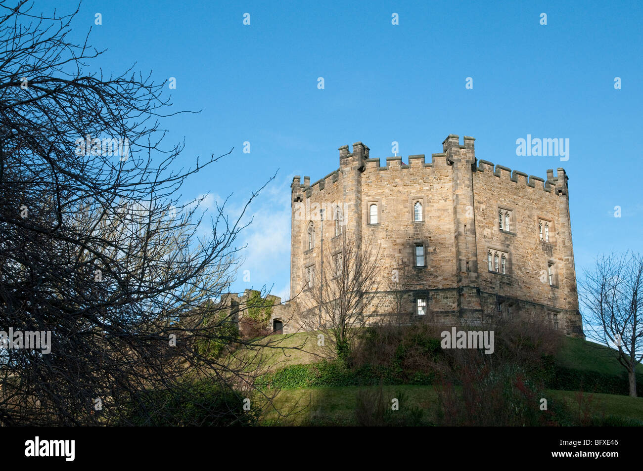 Durham Castle, Heimat der University of Durham, mit Baum im Vordergrund und blaue Himmelshintergrund. Stockfoto