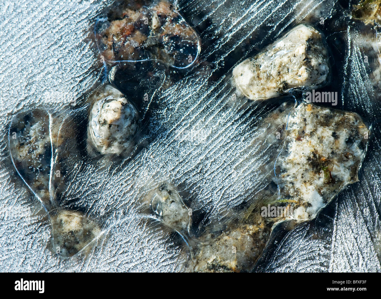 Nahaufnahme von Frost auf eine gefrorene Pfütze voll mit Steinen Stockfoto