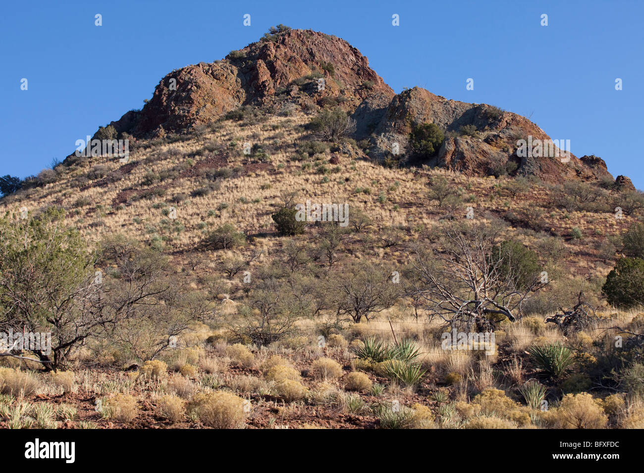 Galiuro Ausläufer Geologie, Muleshoe Ranch, Arizona Stockfoto