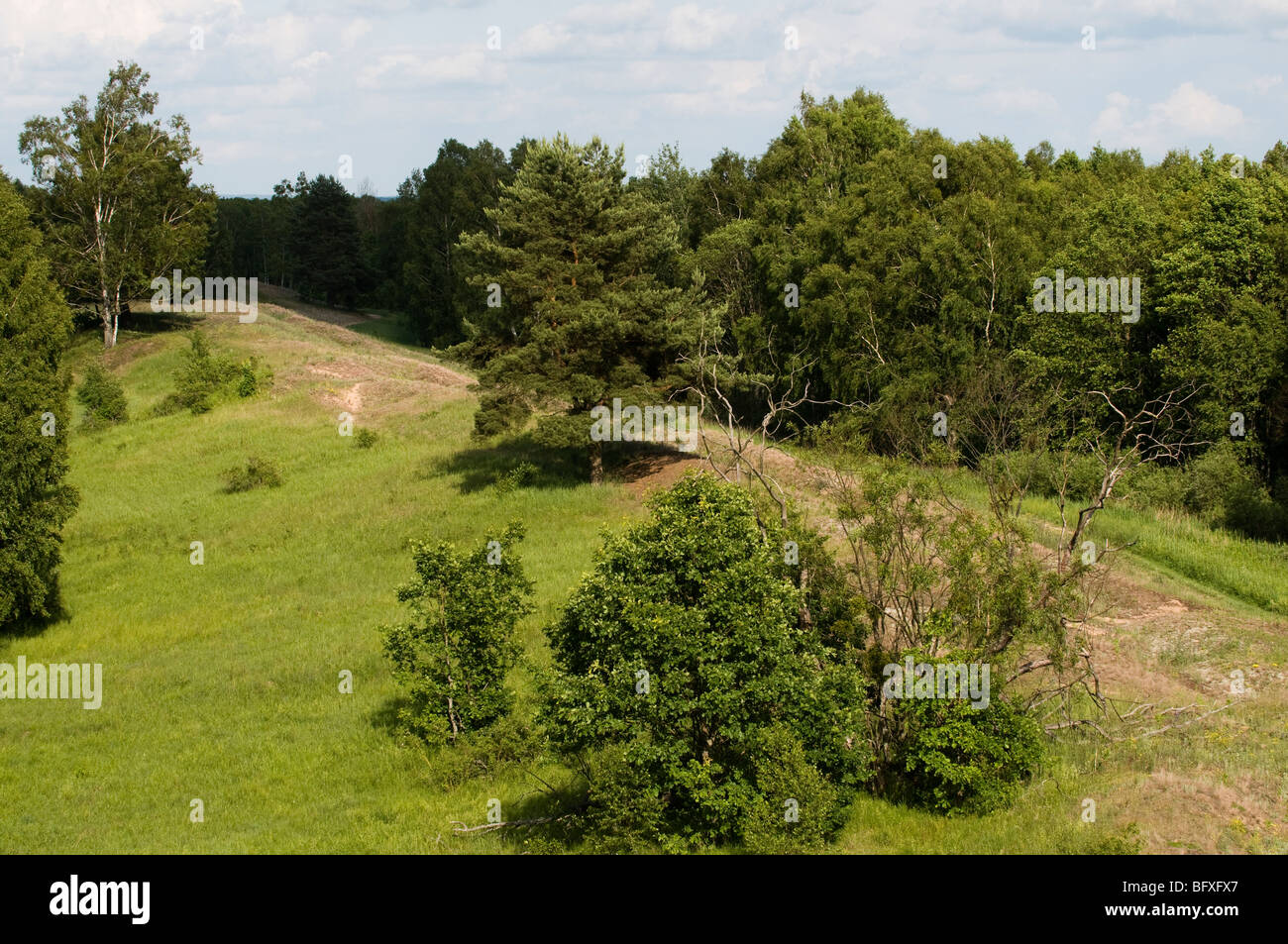 Biebrzanski Nationalpark, Polen Stockfoto