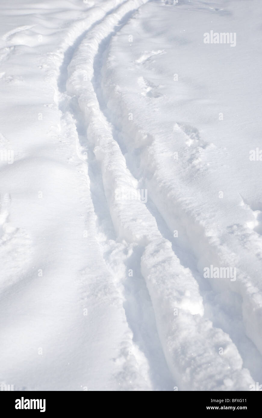 Loipe im frischen Schnee Stockfoto