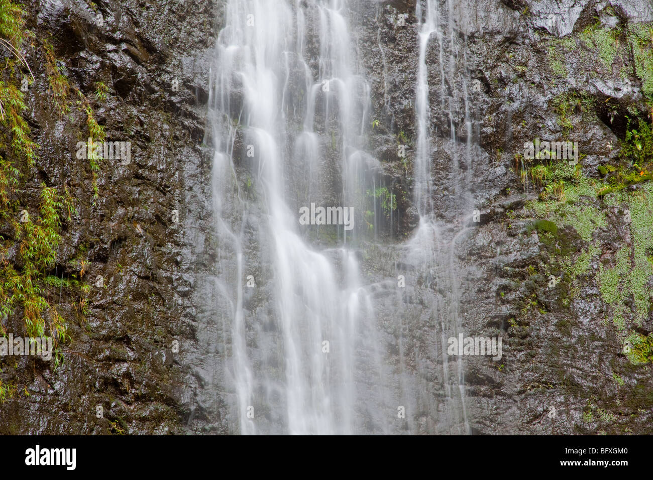 Nahaufnahme von einem Wasserfall, Langzeitbelichtung, weiches Wasser Stockfoto