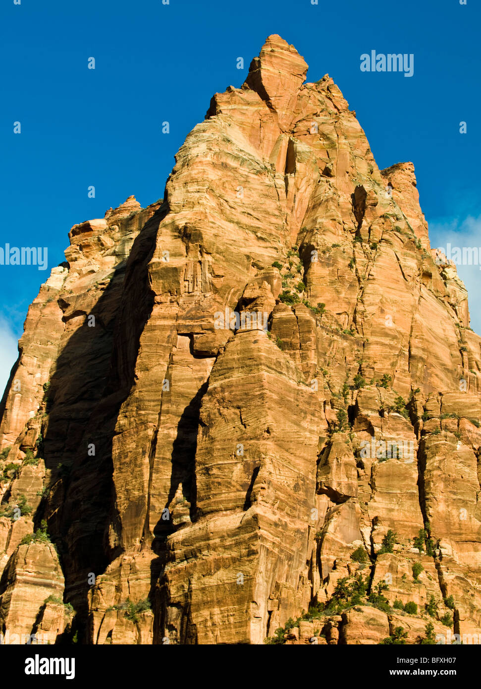 Jacob Peak, einer der drei Patriarchen, Zion Canyon National Park, Utah. Stockfoto