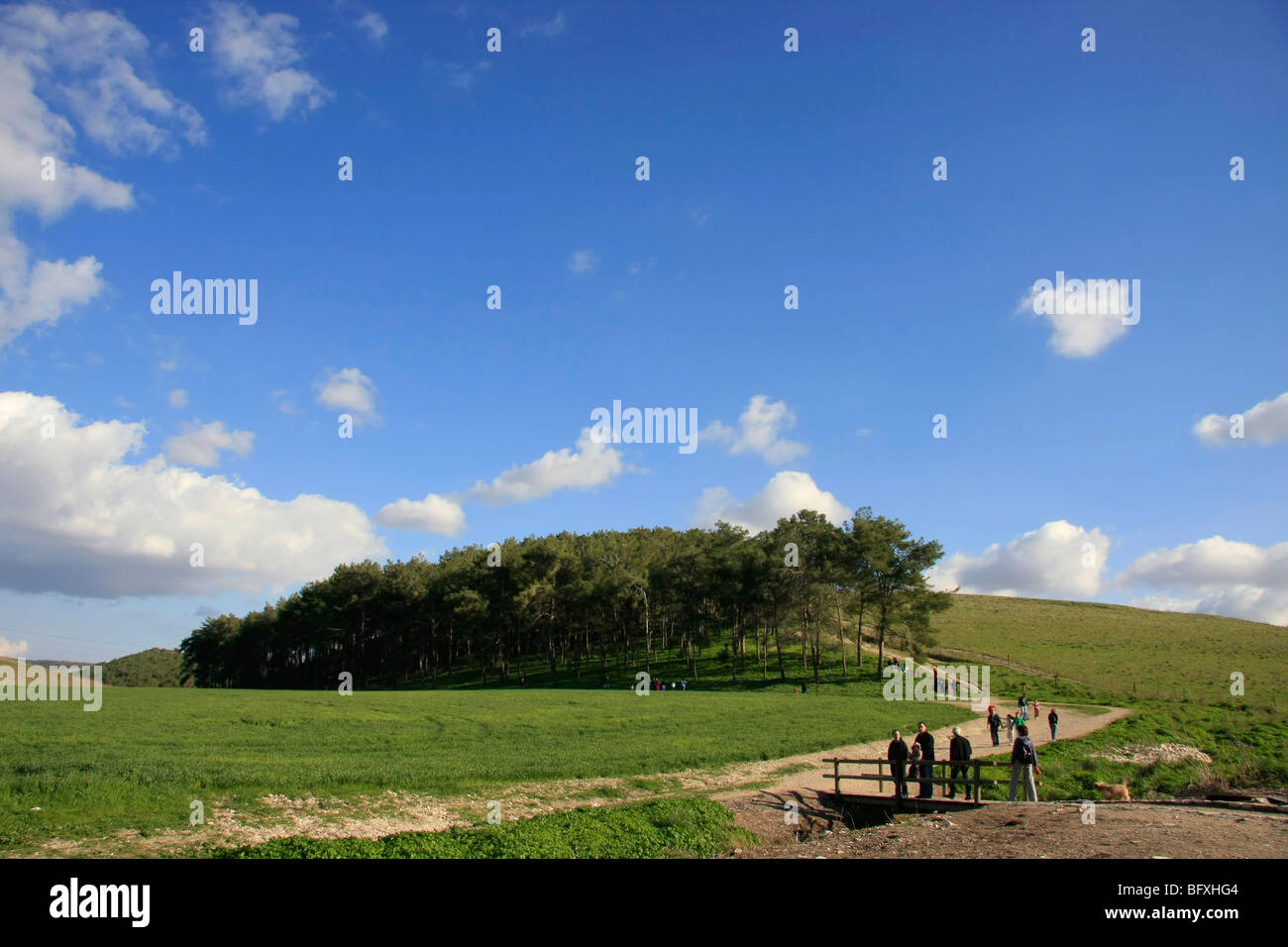 Israel, Menashe "Höhen. Eine Ansicht von Cyclamen Hill Stockfoto