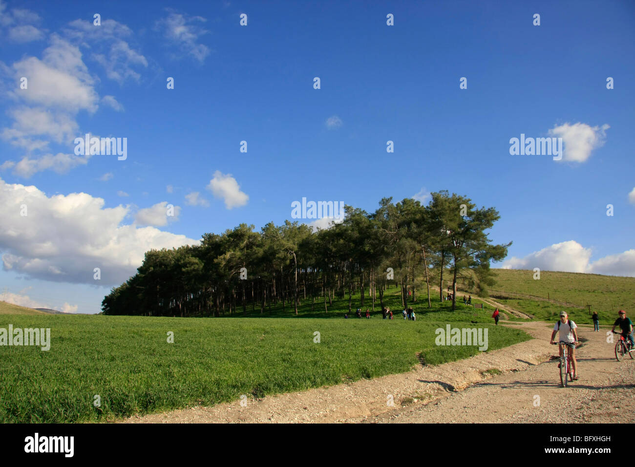 Israel, Menashe "Höhen. Eine Ansicht von Cyclamen Hill Stockfoto
