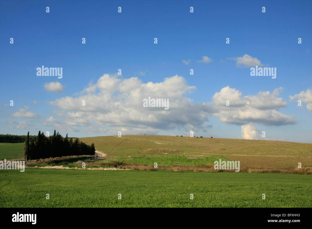 Israel, Menashe "Höhen. Ein Blick von Cyclamen Hill Stockfoto