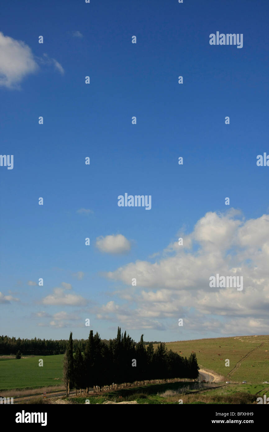 Israel, Menashe "Höhen. Ein Blick von Cyclamen Hill Stockfoto