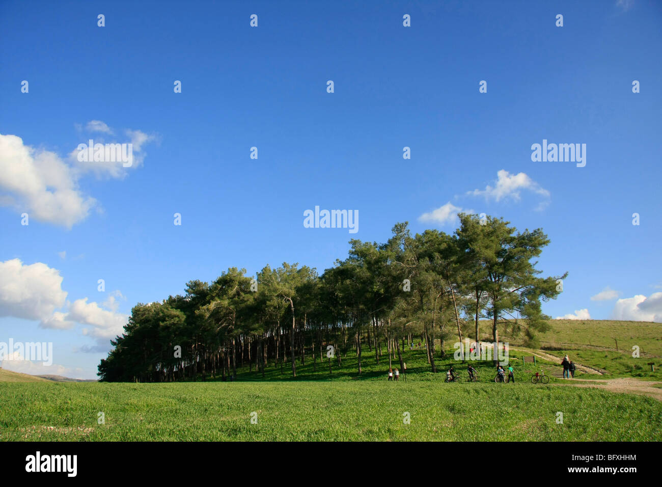 Israel, Menashe "Höhen. Eine Ansicht von Cyclamen Hill Stockfoto