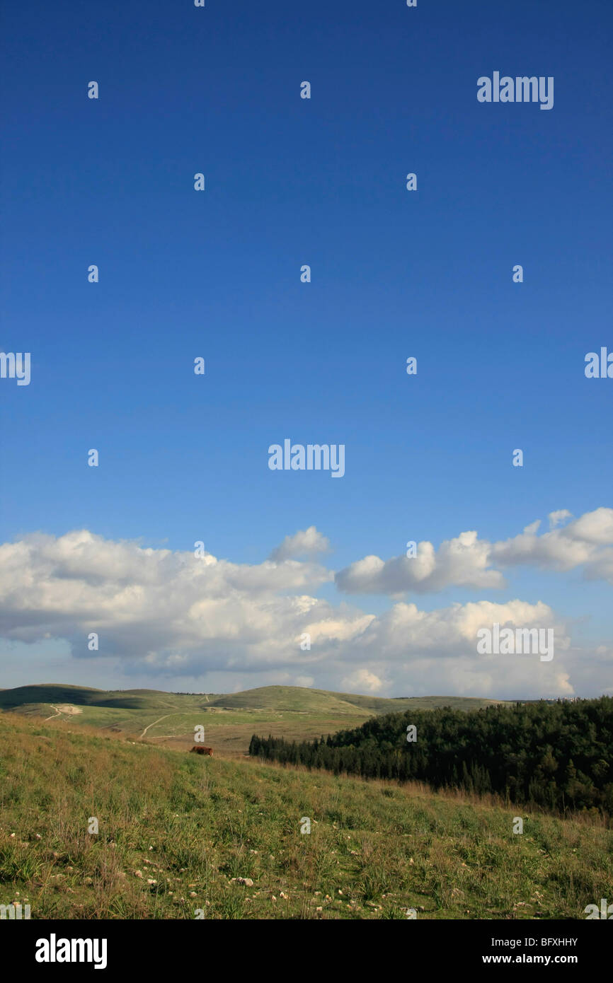 Israel, Menashe "Höhen. Ein Blick vom Park road Stockfoto