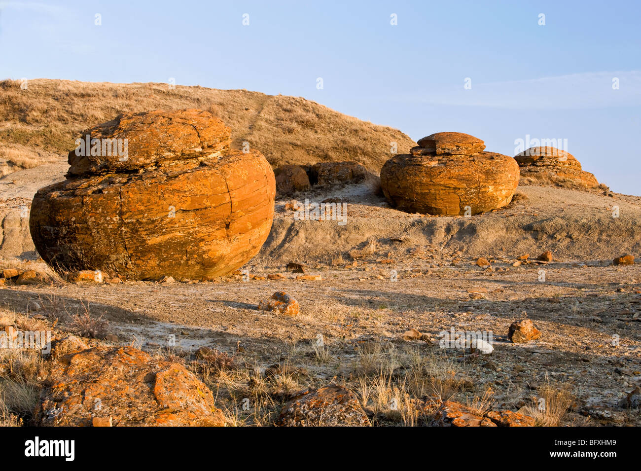 Exponierten Konkretion Felsbrocken in erodierten Semi ariden Umgebung des Red Rock Coulee, in der Nähe von sieben Personen, Alberta, Kanada Stockfoto