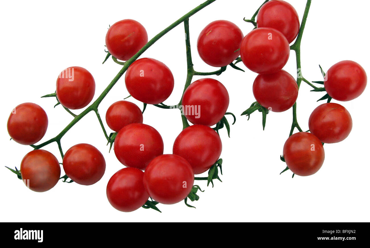 Schneiden Sie kleine Tomaten Stockfoto