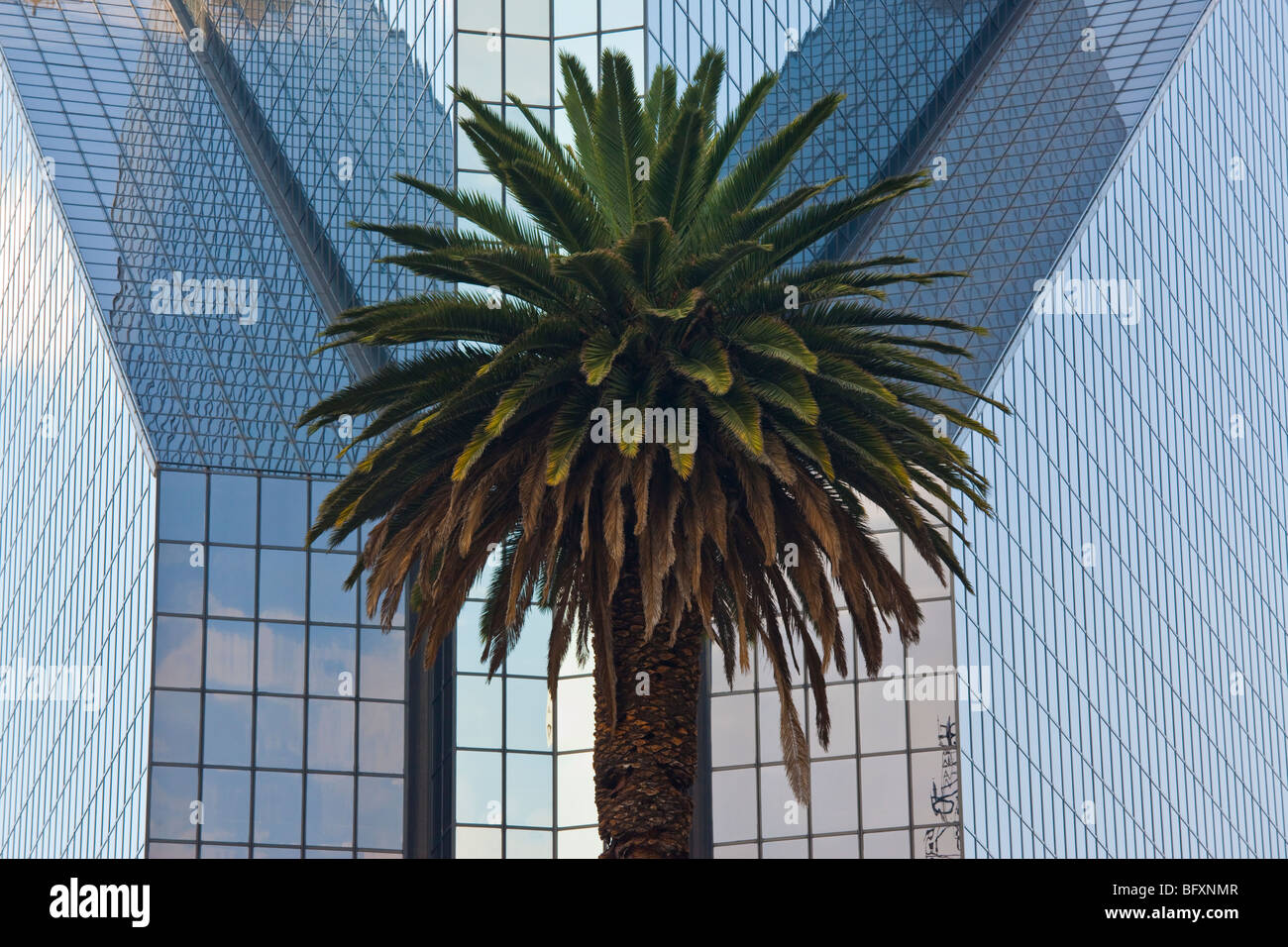 Centro Bursatil Börse am Passeo De La Reforma in Mexiko-Stadt Stockfoto