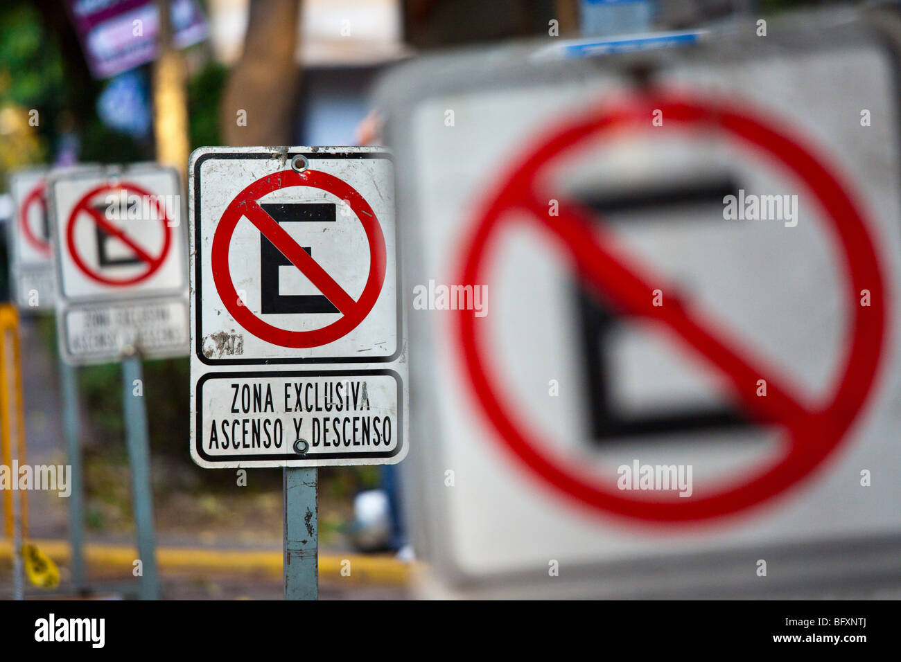 Prohibido Estacionarse Zeichen keine Parkplätze in der Zona Rosa in Mexiko-Stadt Stockfoto