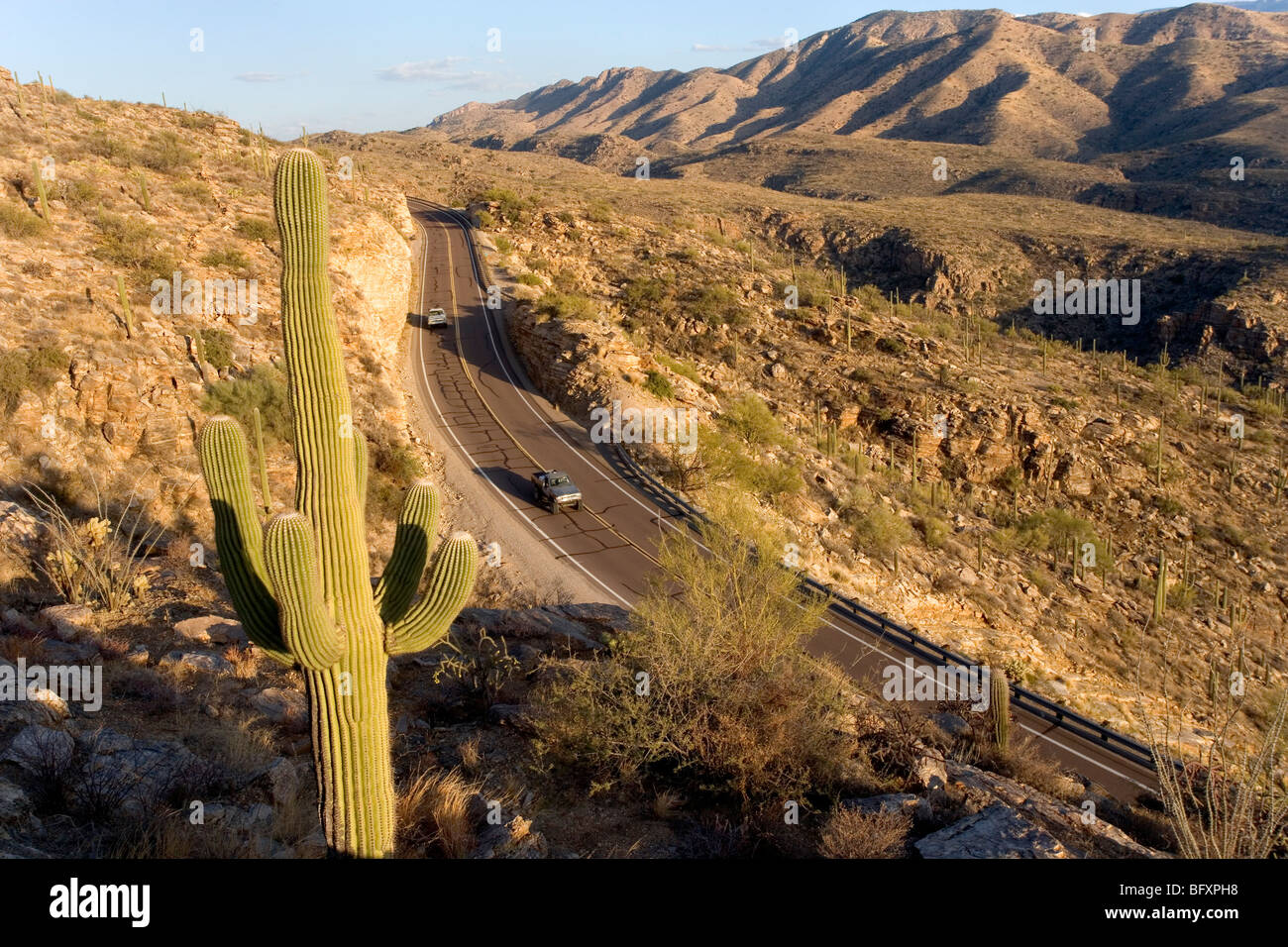 Malerischen Mt. Lemmon Hwy Köpfe bis an die Spitze der Catalina Mountains in Tucson AZ. Stockfoto