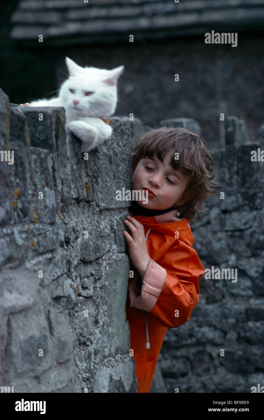 Englische junge Stand durch eine weiße Katze auf einer Mauer sitzend Stockfoto