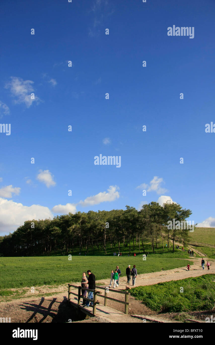 Israel, Menashe "Höhen. Eine Ansicht von Cyclamen Hill Stockfoto