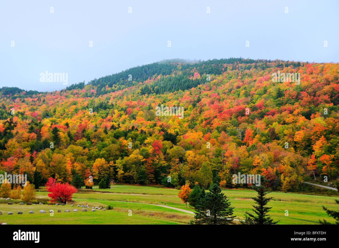 Nebel rollt über die grünen Berge und erweicht das brillante Herbstlaub der Adirondack-Bergkette in Vermont, USA. Stockfoto
