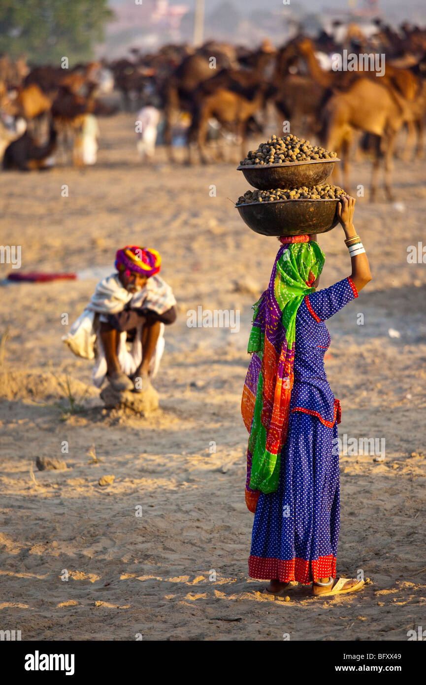 Kamel Dung Biokraftstoff auf der Camel Fair in Pushkar Indien Stockfoto