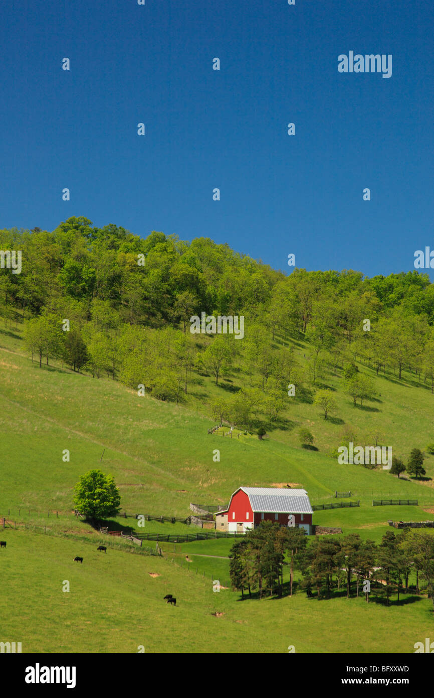 Bauernhof in Deutschland-Tal am Fuße des Spruce Mountain, Judy Gap, West Virginia Stockfoto