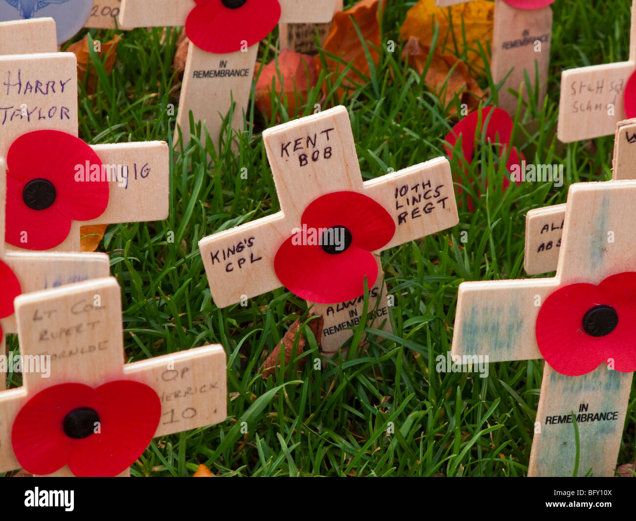 Detail der Holzkreuze und Mohn mit Namen der gefallenen Servicepersonal am Remembrance Day Sonntag im November, im Vereinigten Königreich Stockfoto