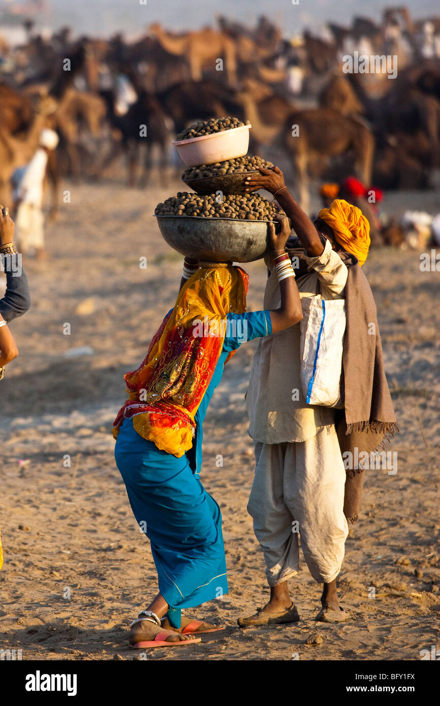 Kamel Dung Biokraftstoff auf der Camel Fair in Pushkar Indien Stockfoto