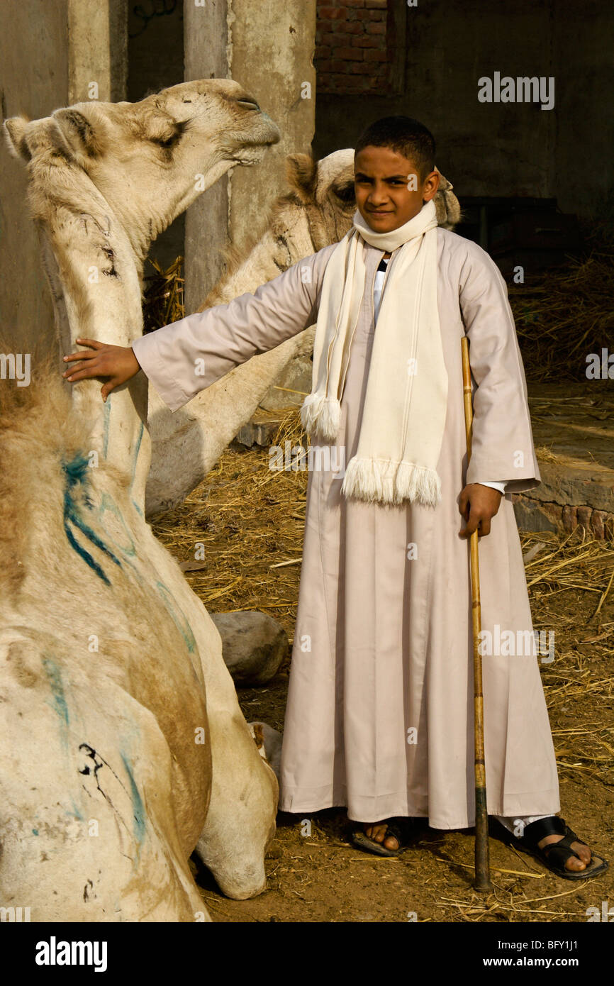 Junge mit Kamelen am Markt, Abu Rawash (Birqash), Kairo, Ägypten Stockfoto